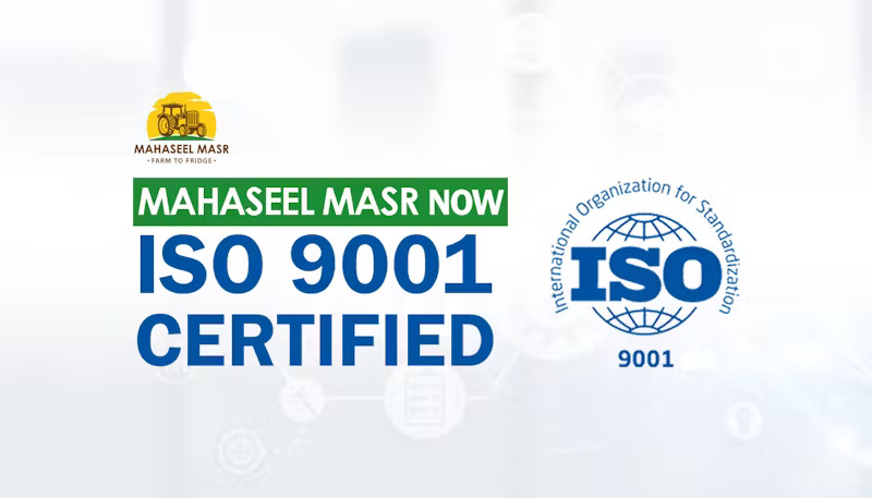 ISO-9001-2015-Certification